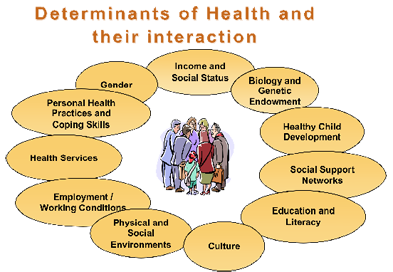 Determinants of Health and their interaction